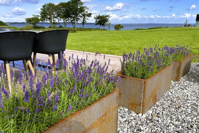 "Anny" - 100m from the sea in Funen - foto 21