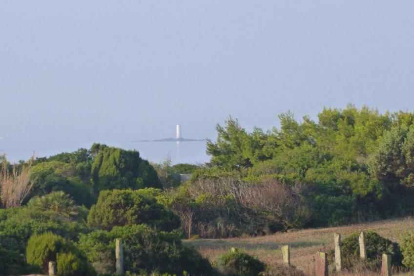 Wohnung in Calasetta mit Grill und Garten - foto 34