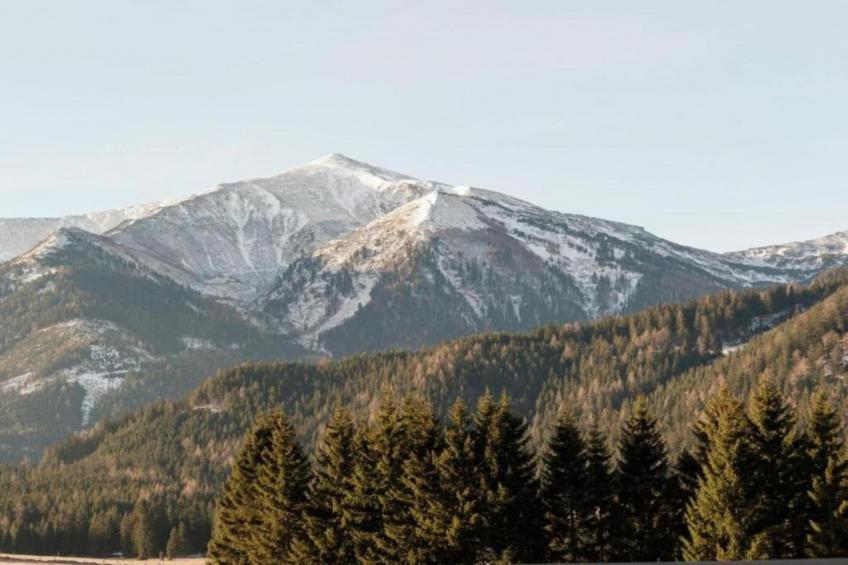 Domus Magnus - foto 40