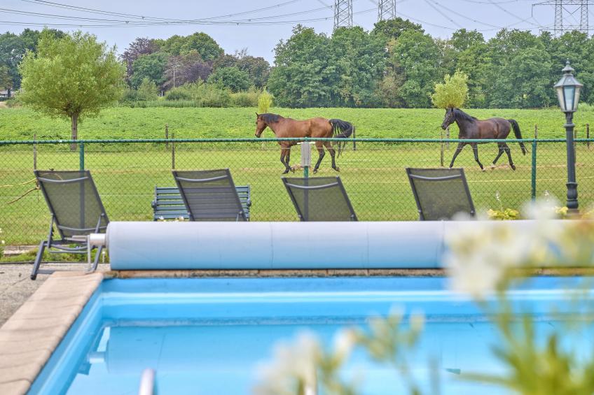 De Vrije Vogel - foto 15