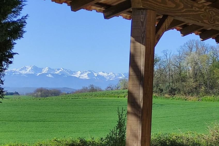 in Sarraguzan mit Privatem Pool - foto 27