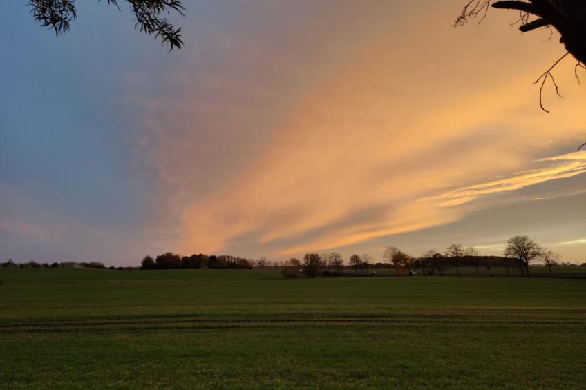 Janet Ratschkowski - foto 38