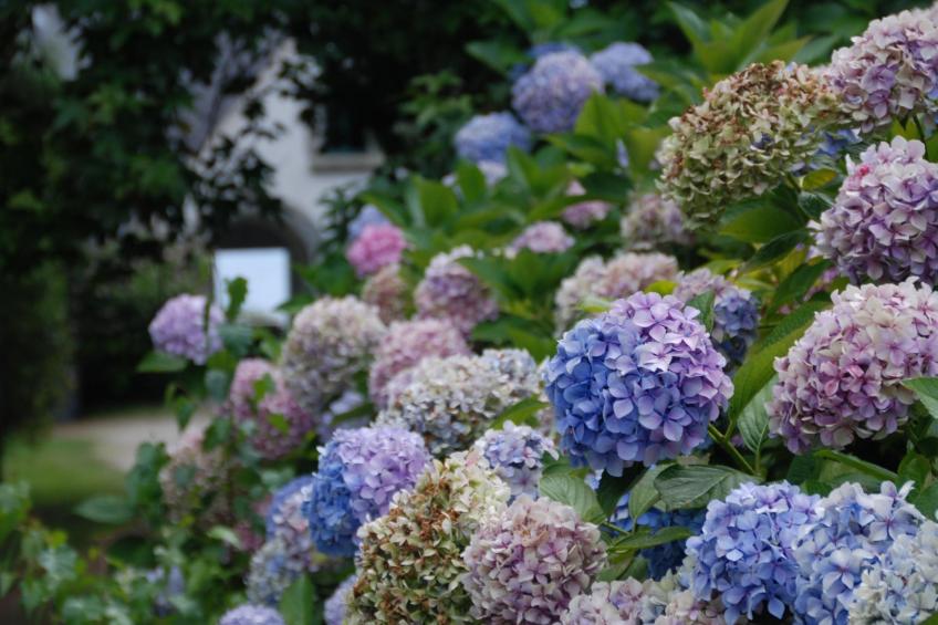 Villa mit großem Grundstück direkt am Mer - foto 5