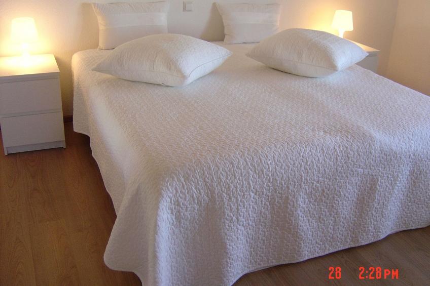 direkt am Rhein - foto 16