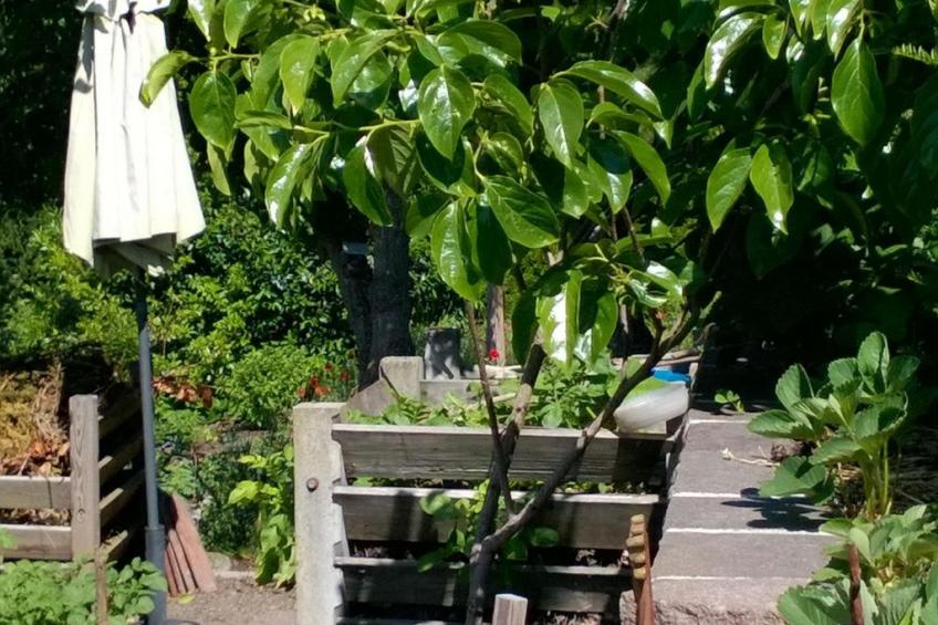 Villa Romantica - foto 22