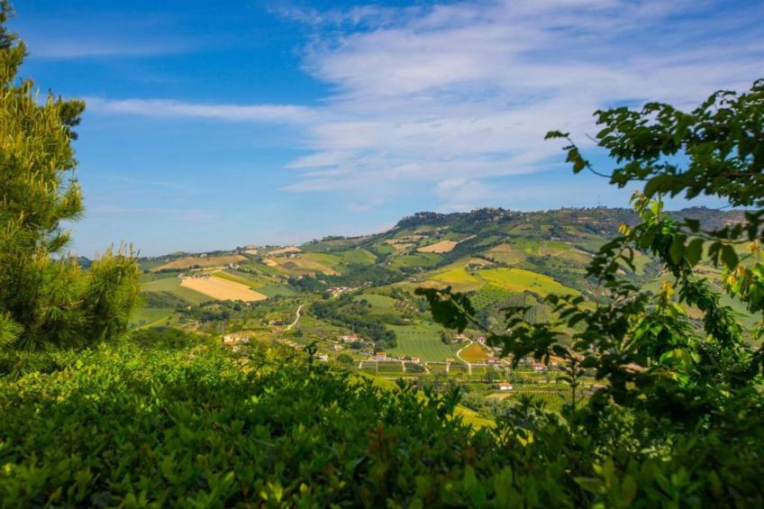 Apartment Peperoncino - foto 27