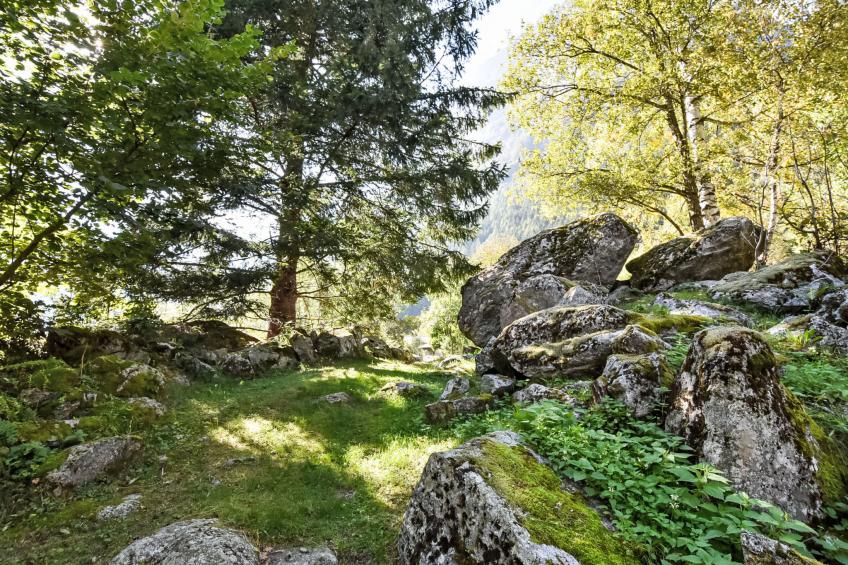 Val di Mello Mountain Flat - foto 38