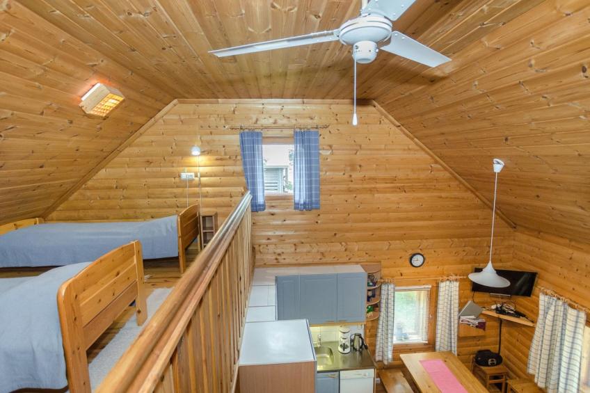 Koli, cjoe069 kissankello - foto 15