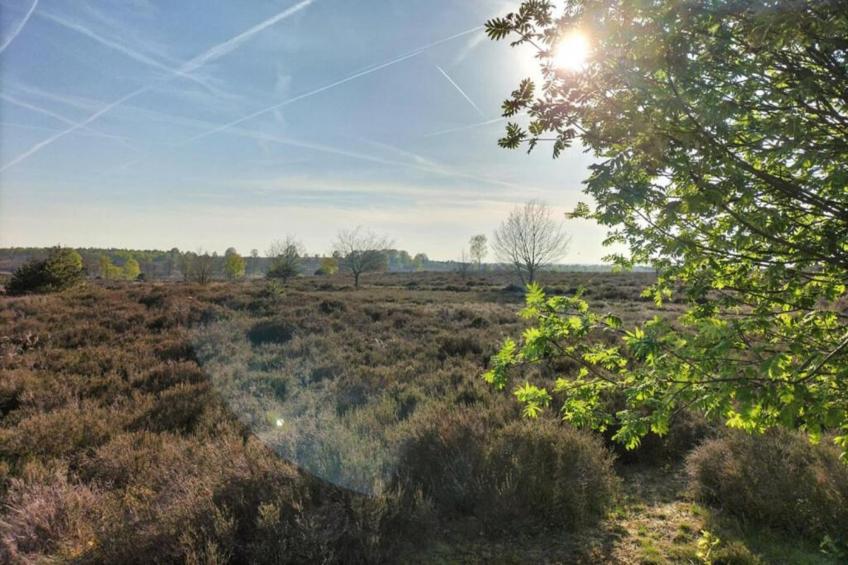 Park Haarle - foto 21