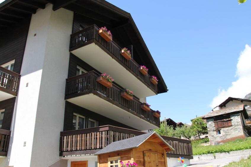 Bergdohle, (Randa), - foto 3