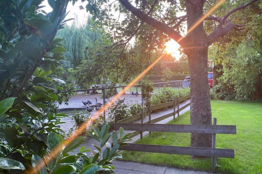 De Hofstede - foto 33