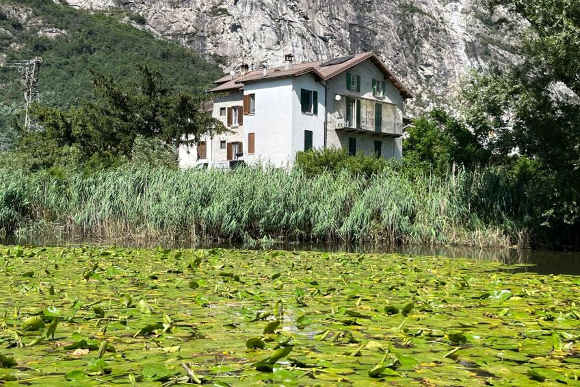 Vakantieappartement 'Willkommen am See' - foto 15