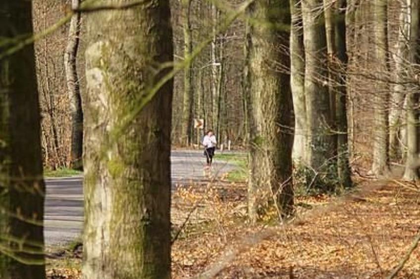 Anwesen "Oranjehorst" - foto 25