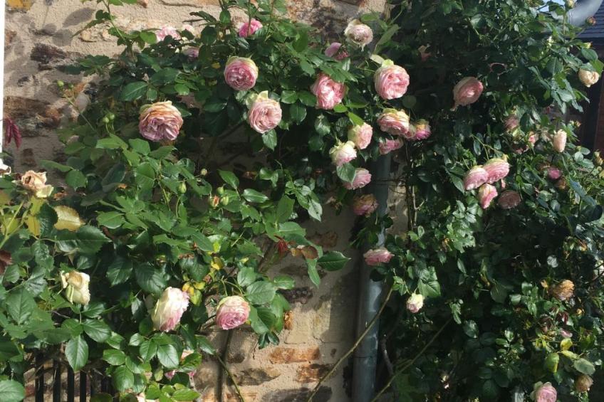 Familienhaus - foto 2