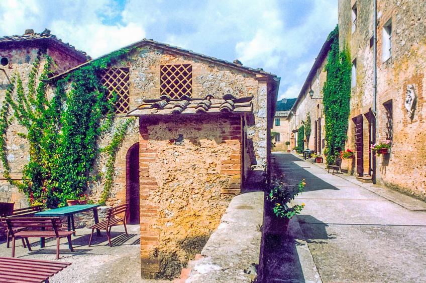 Il Pero di Cetinale - foto 25