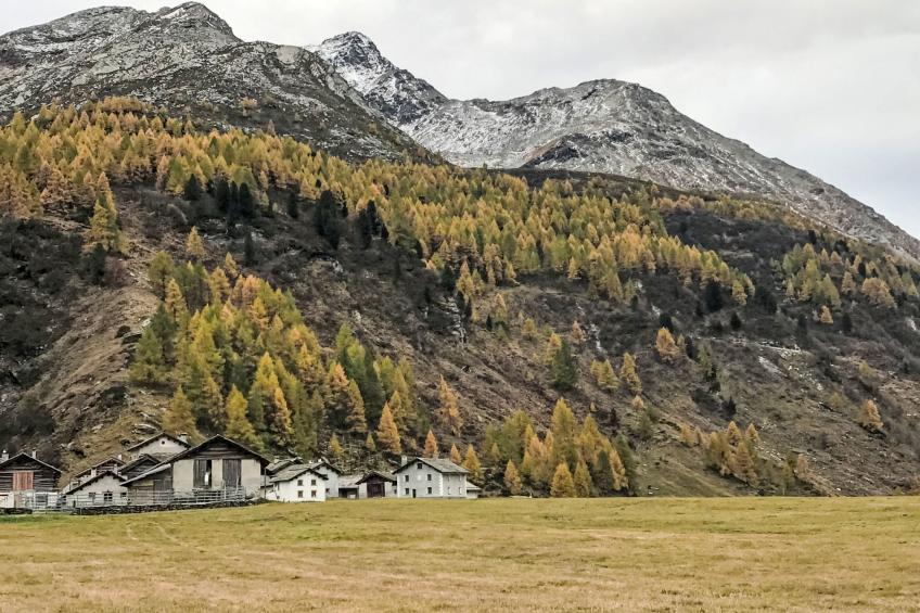 Casa La Planüra - foto 30