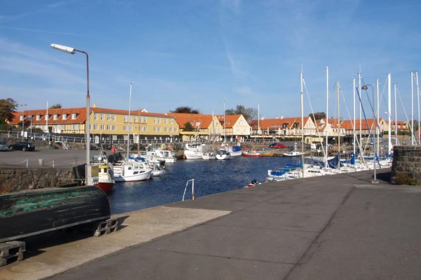 "Caranus" - 500m from the sea in Bornholm - foto 4