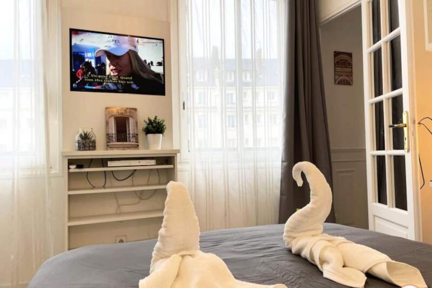 ✨ Le Palais Des Glaces - Hypercentre - Port - foto 14