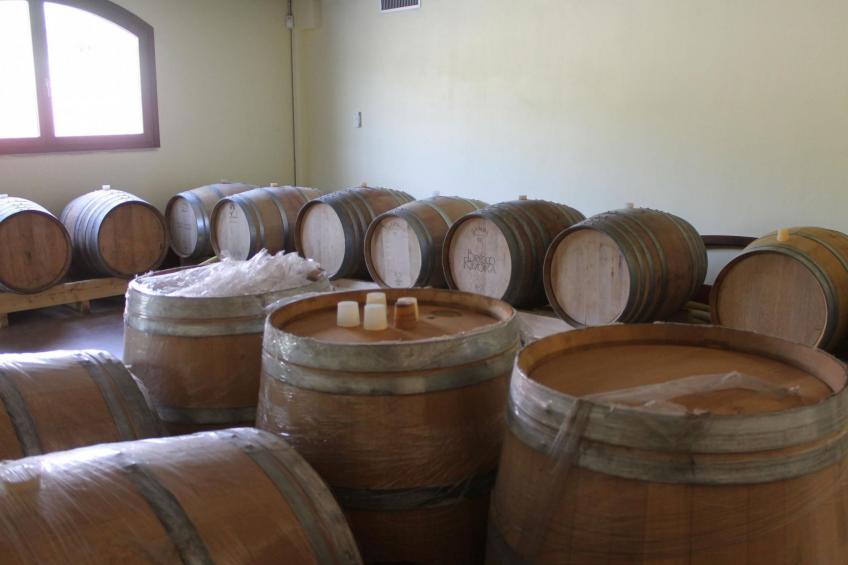 Barolo' Wohnung mit Gemeinschaftspool - foto 24