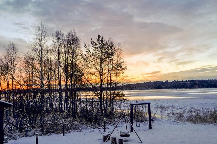 Niittyvilla - foto 3