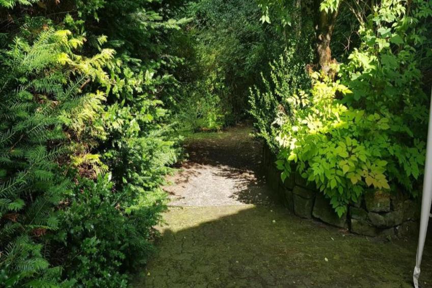 Ferienwohnung Stern - Harz Wildemann - foto 32
