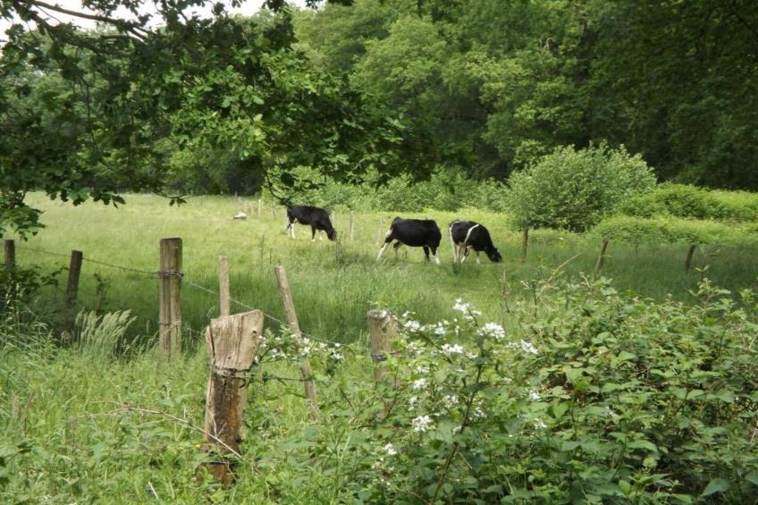 Bungalow 87 - foto 37