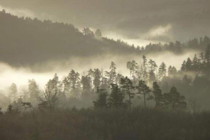 Chalet - HOMMERT - foto 31