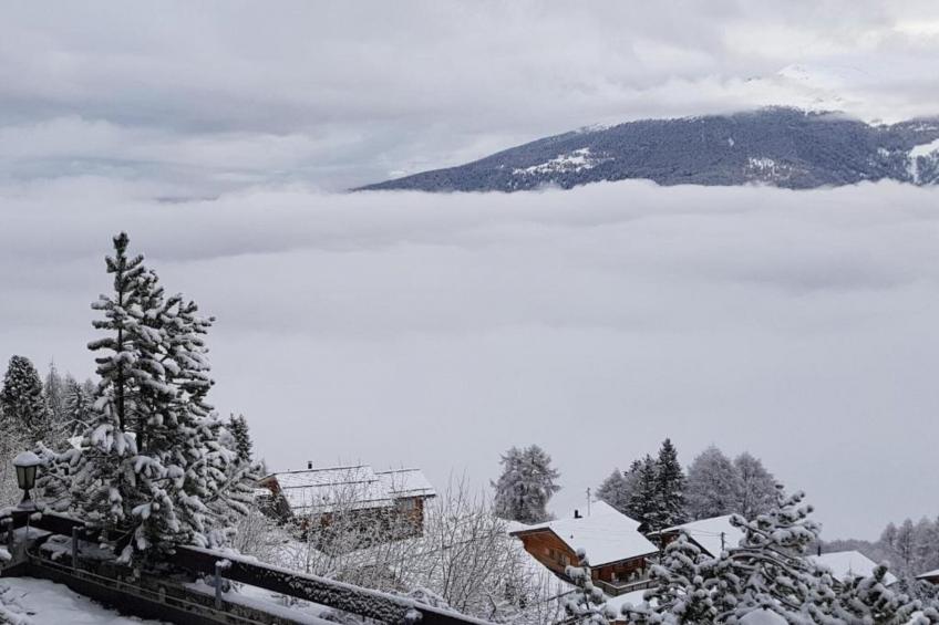 Mayens de l'Ours AZ 032 - MOUNTAIN apartment 6 p - foto 29