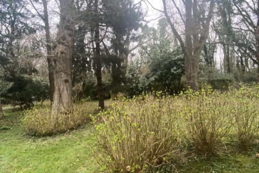 Résidence Bg32 - Mer & Bois De Cise.. Maison Individuelle Avec Grand Jardin - foto 40