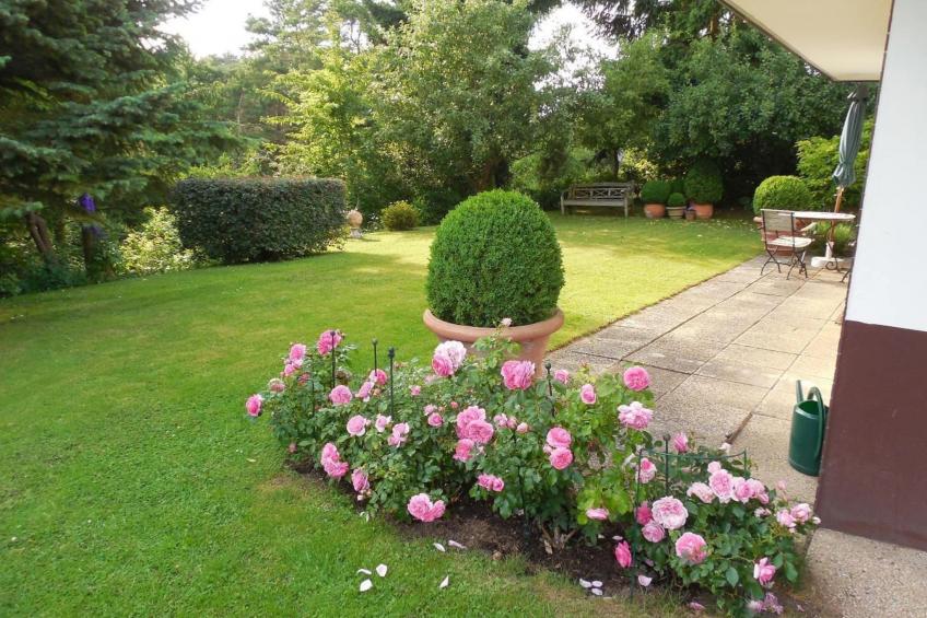 Exklusive Ferienwohnung mit Loggia am Waldrand - foto 16