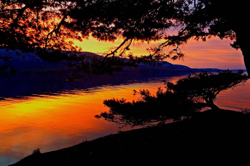 mit Blick auf das Wasser - foto 17