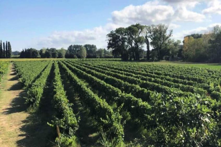 Maison Cosy Lodge, 15 P, Clim, Wifi, Cour, Garage - foto 15