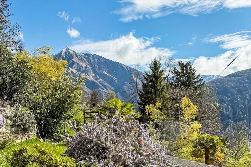 Casa Serena - foto 3
