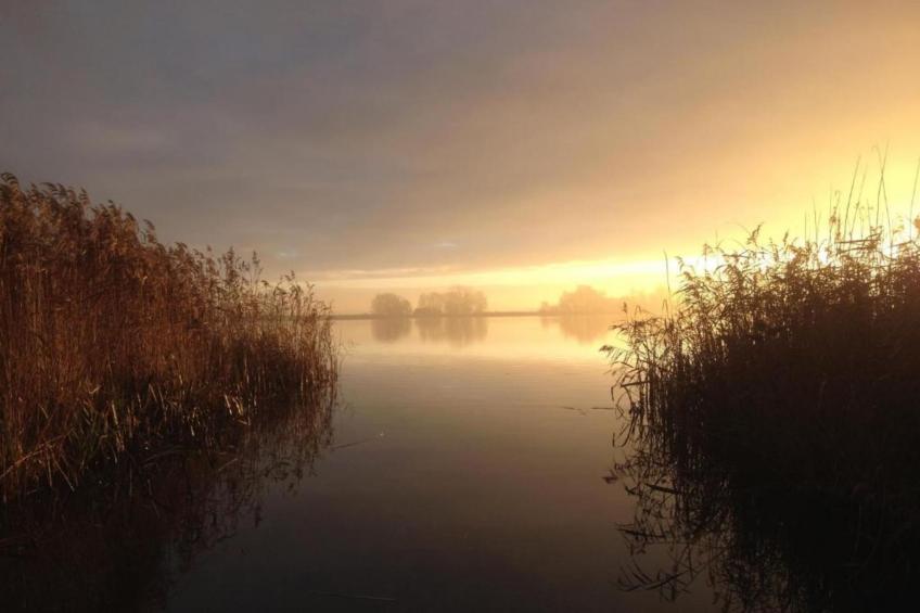 Waterpark Belterwiede - Type Gaarde - foto 33