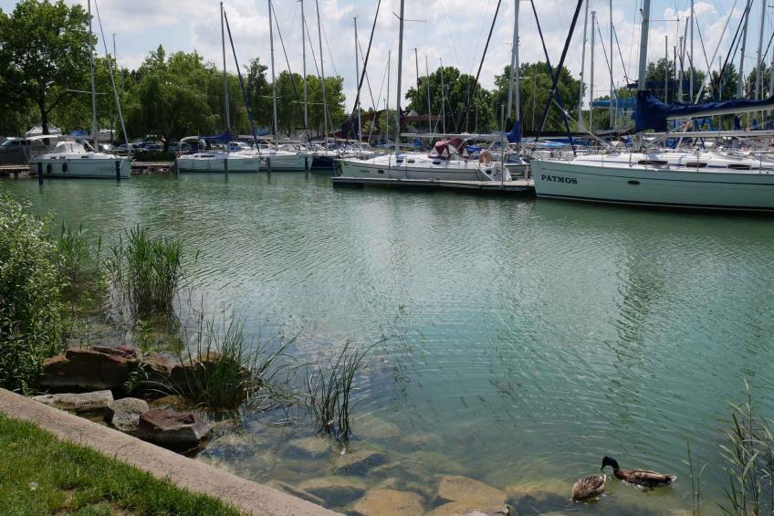 Vakantiewoning 100m van het Balatonmeer met zwembad en airconditioning - VW-Z873Y - foto 18