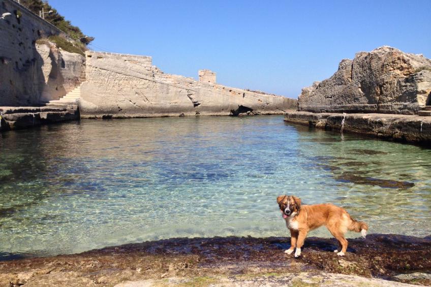 Haus am Meer - foto 2