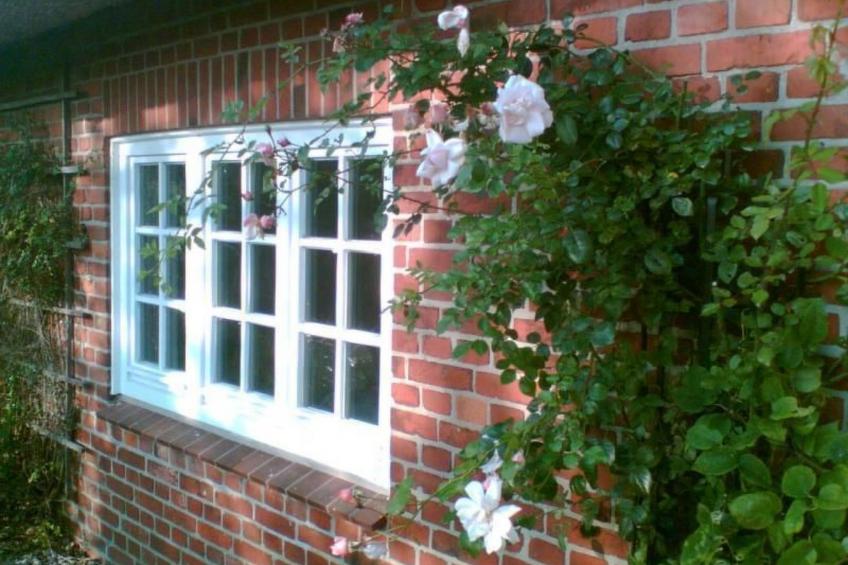 Finkenbusch - foto 5