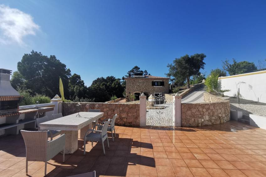 Vitorino Deluxe - foto 6