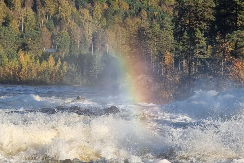 Gemütliches Ferienhaus Angermanland - höga Kusten - foto 54