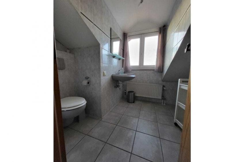 41843 - foto 15