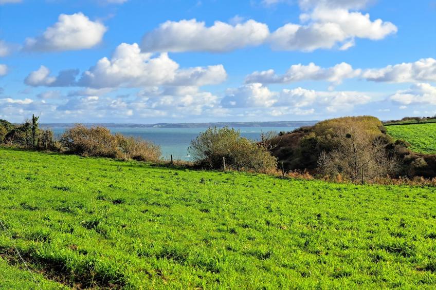 Granitsteinhaus in Guimaëc - foto 26