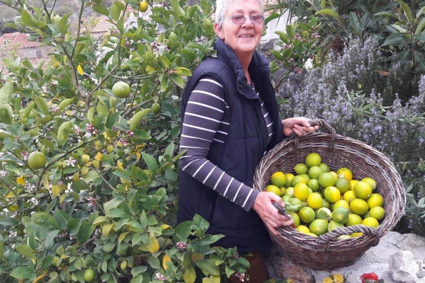 in Zlarin mit Schönem Garten - foto 47