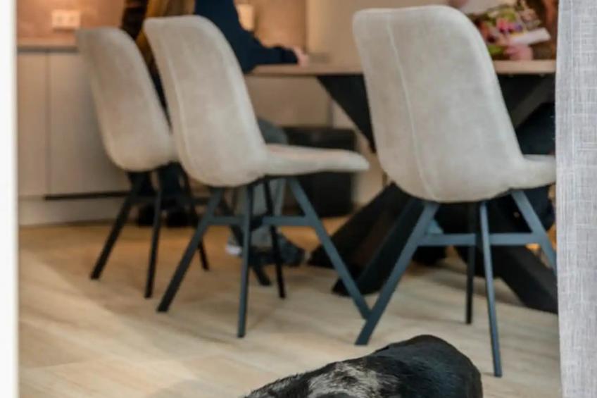 Het Groene Dak - foto 9