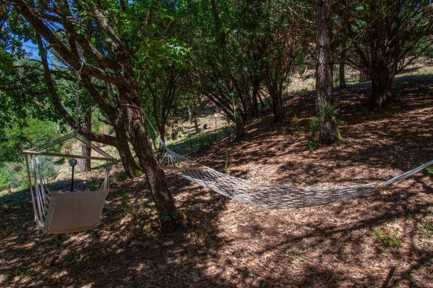 Rifugio di Igor - foto 28