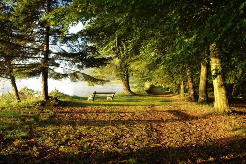 La Coquette - foto 34