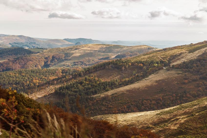 La Montagne - foto 35