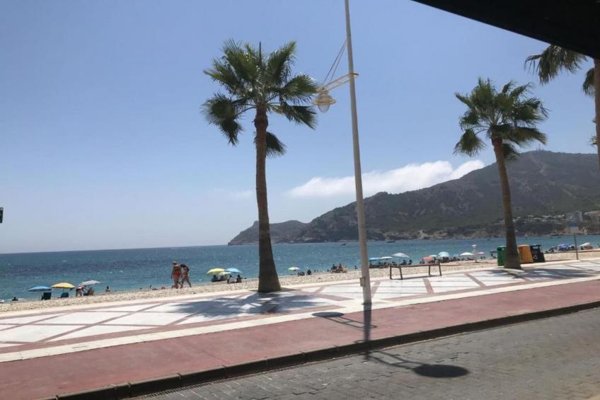 Finca Caballo Verde - foto 35