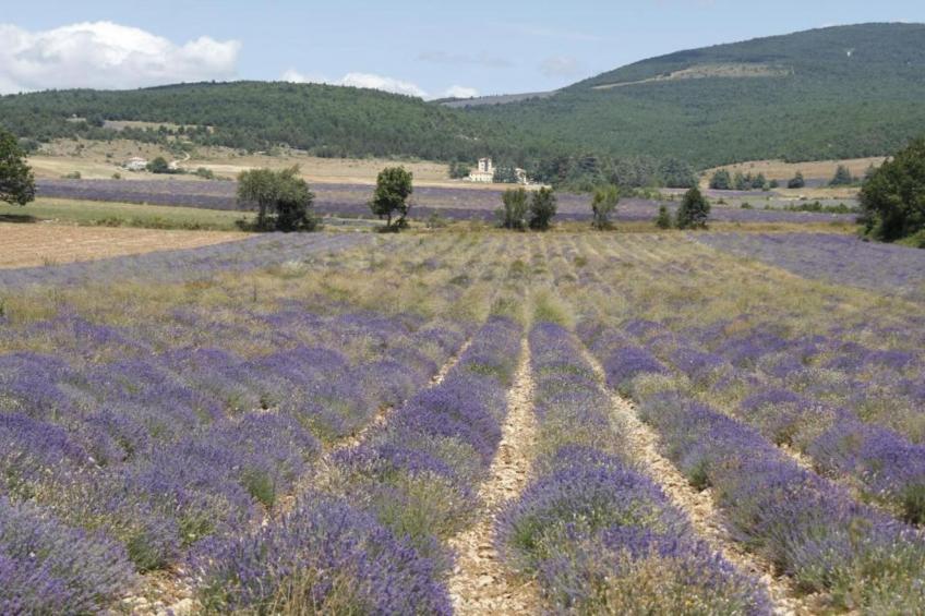 Appartement - LUS-LA CROIX-HAUTE - foto 39