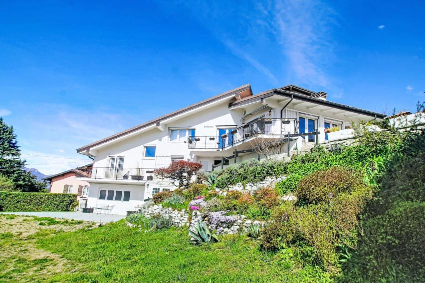 Ostendaise - foto 32