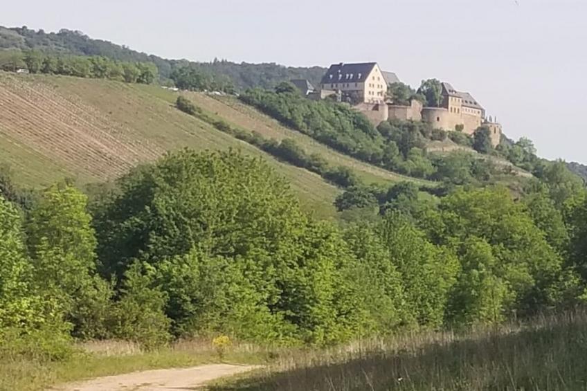 476319 - foto 13